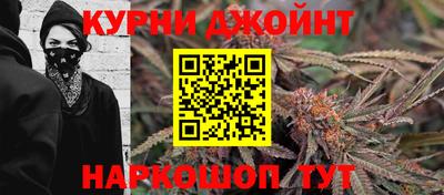 ешки Дубна