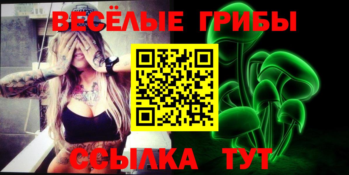 Нижнеудинск  Псилоцибиновые грибы мицелий  Вход с VPN 
